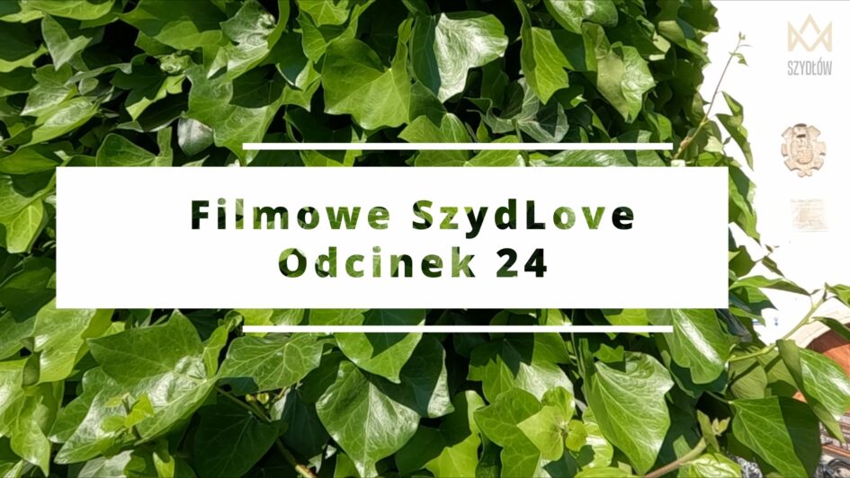 Filmowe SzydLove 24 Bluszcze przed Bramą Zamkową